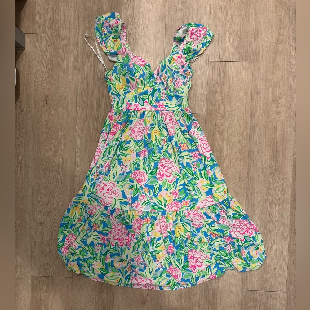 Lilly Pulitzer Bayleigh Midi Dress in Multi Grove Garden. Size 4